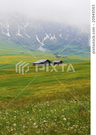 Alpe di Siusi alpe di siusi Zaiser alm seiser alm 20949565