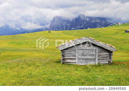 Alpe di Siusi alpe di siusi Zaiser alm seiser alm Alpe di Siusi alpe di siusi Zaiser alm seiser alm 20949568