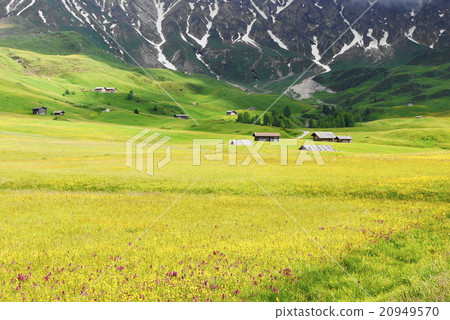 Alpe di Siusi alpe di siusi Zaiser alm seiser alm Alpe di Siusi alpe di siusi Zaiser alm seiser alm 20949570