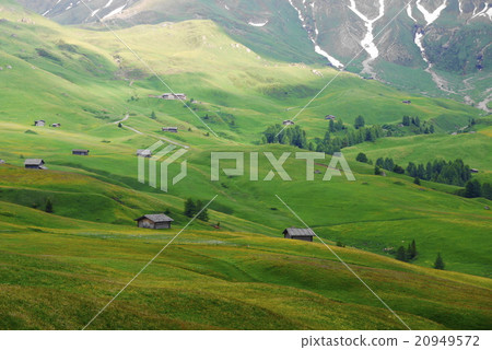 Alpe di Siusi alpe di siusi Zaiser alm seiser alm Alpe di Siusi alpe di siusi Zaiser alm seiser alm 20949572