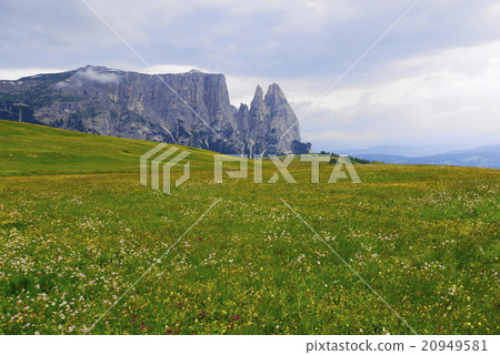 Alpe di Siusi alpe di siusi Zaiser alm seiser alm 20949581