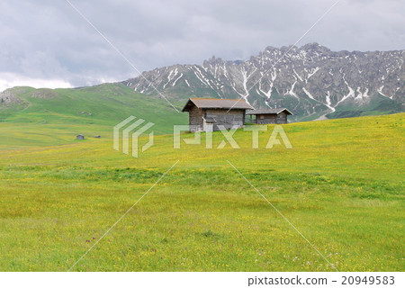 Alpe di Siusi alpe di siusi Zaiser alm seiser alm 20949583