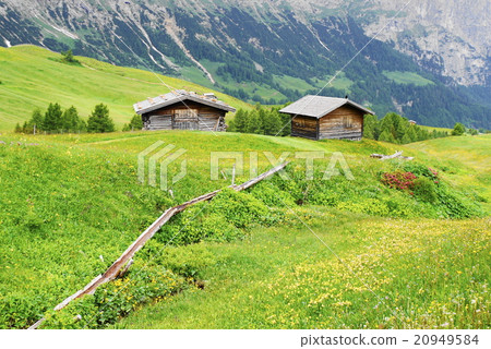 Alpe di Siusi alpe di siusi Zaiser alm seiser alm Alpe di Siusi alpe di siusi Zaiser alm seiser alm 20949584
