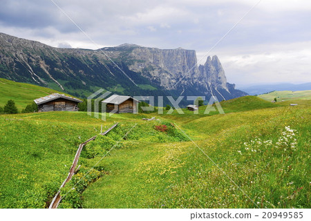 Alpe di Siusi alpe di siusi Zaiser alm seiser alm Alpe di Siusi alpe di siusi Zaiser alm seiser alm 20949585
