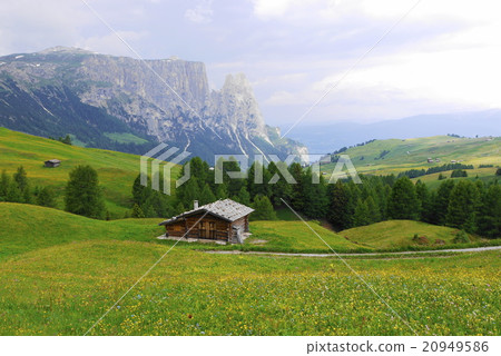 Alpe di Siusi alpe di siusi Zaiser alm seiser alm Alpe di Siusi alpe di siusi Zaiser alm seiser alm 20949586