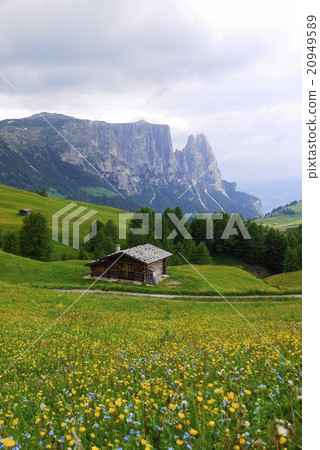 Alpe di Siusi alpe di siusi Zaiser alm seiser alm Alpe di Siusi alpe di siusi Zaiser alm seiser alm 20949589