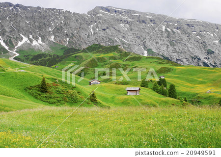 Alpe di Siusi alpe di siusi Zaiser alm seiser alm 20949591