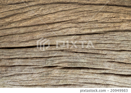 Wood texture with natural patterns. Wood texture with natural patterns. 20949983
