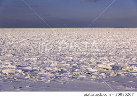 在鄂霍次克海漂流冰 20950207