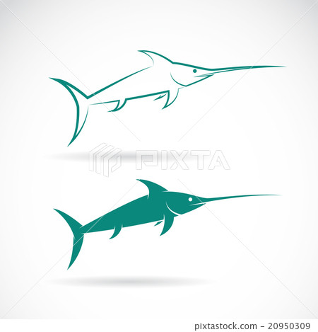 Vector image of an sailfish on white background 20950309