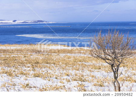 Snowscape of Lake Nogei 20950482