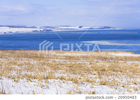 Nogei湖的雪景 20950483