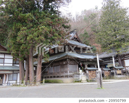 北海道觀音主Hallowo版 20950799