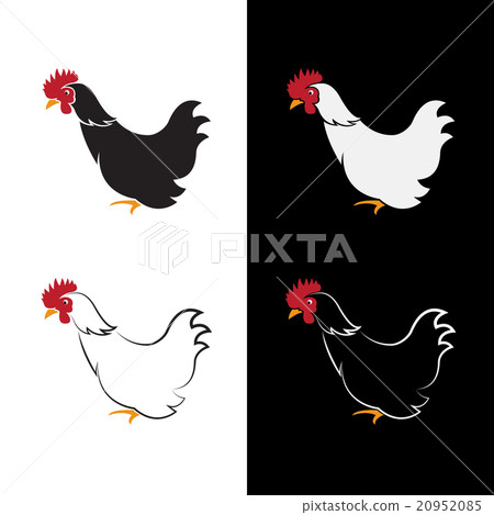 Vector image of an chicken design  20952085