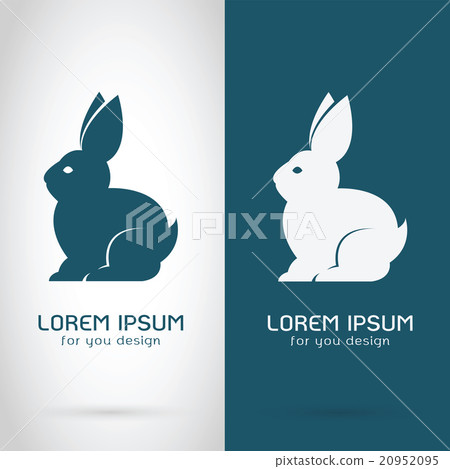 Vector image of a rabbit design - Stock Illustration [20952095] - PIXTA