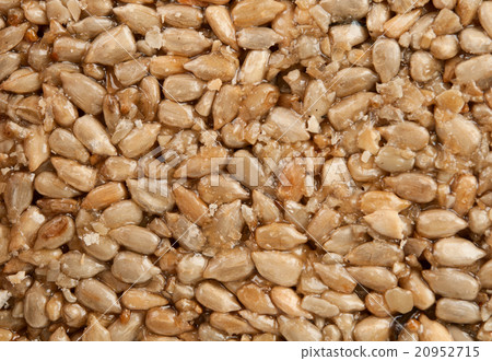 Honey bears with sunflower seeds 20952715