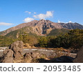 櫻花在2016年1月之前羽 20953485