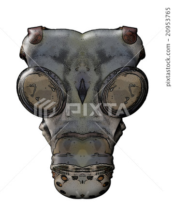 Gas Mask Gas Mask 20953765