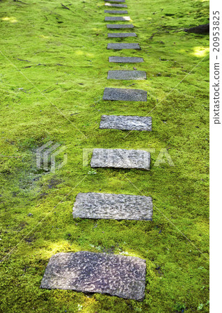 Kyoto Seongnam Palace garden 20953825