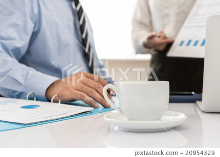 presentation 20954329