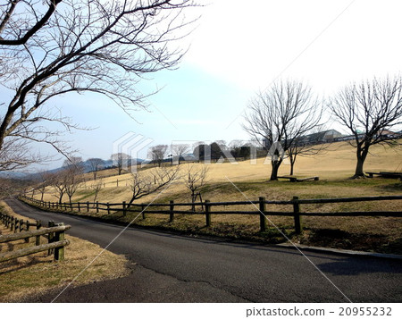 Takachiho ranch 20955232