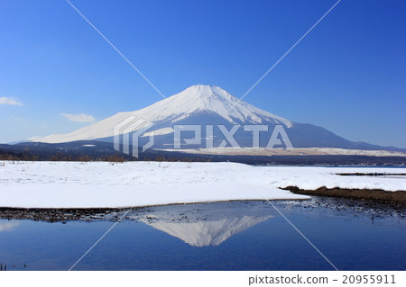 Mount Fuji  20955911