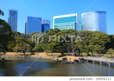 Hamarikyu Garden and high-rise buildings 20956111