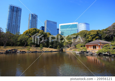 Hamarikyu Garden and high-rise buildings Hamarikyu Garden and high-rise buildings 20956121