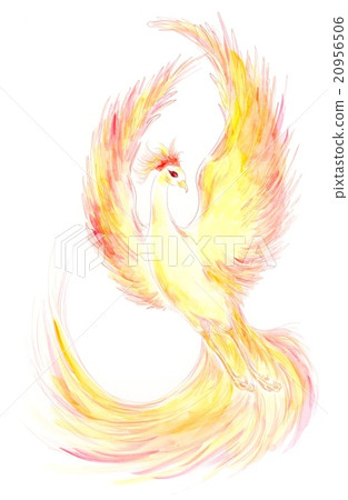 鳳凰 鳳凰 20956506