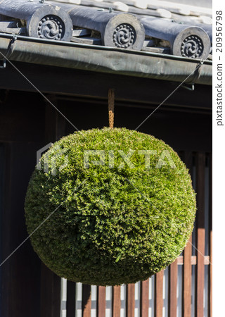 Sake Brewery Sugimoto Hiroshima / Takehara 20956798