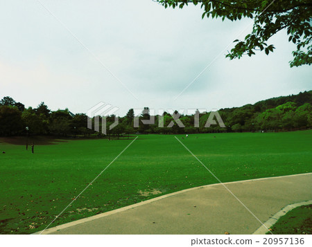 Nara Park 20957136