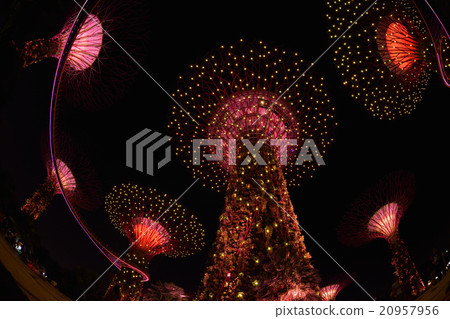 濱海灣公園夜景 20957956