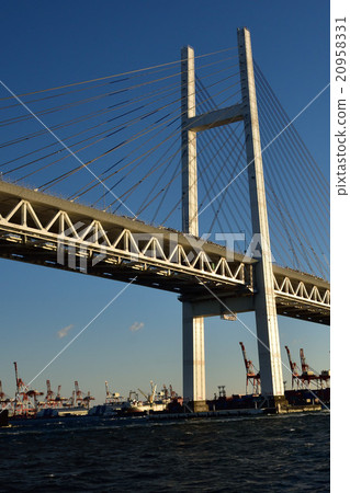 海灣大橋 20958331