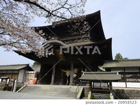 阿蘇神社花門 阿蘇神社花門 20958523