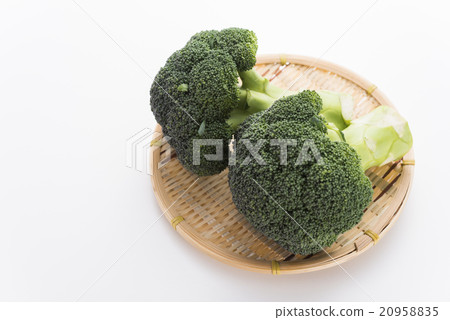 broccoli broccoli 20958835