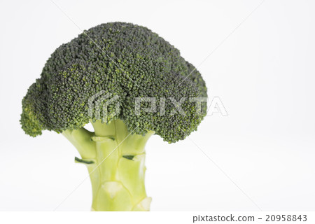 西蘭花 西蘭花 20958843