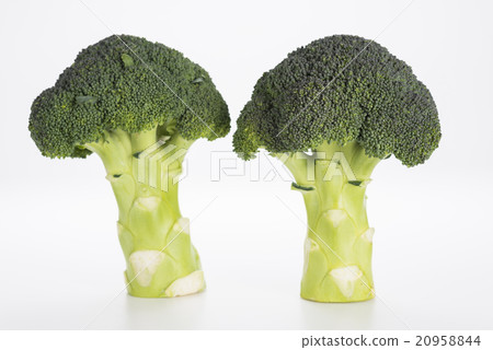 broccoli broccoli 20958844