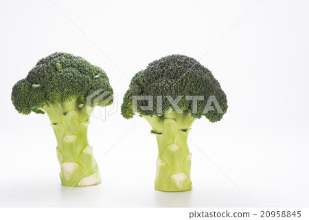 西蘭花 西蘭花 20958845