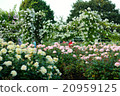 London Valent Gents Park 20959125