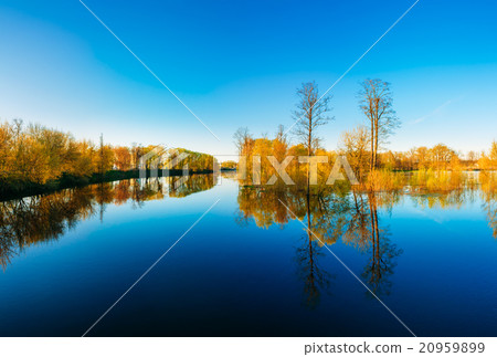 Trees Standing In Water During A Spring Flood Trees Standing In Water During A Spring Flood 20959899