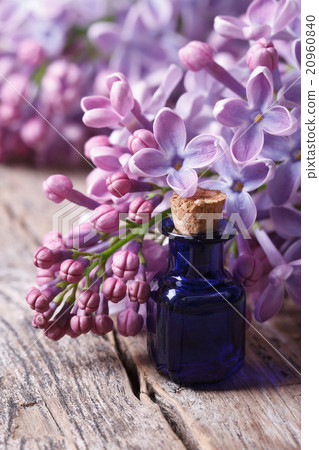 Essence of fragrant lilac flowers close up Essence of fragrant lilac flowers close up 20960840