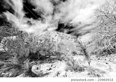 in oman mountain the old abandoned   20960918