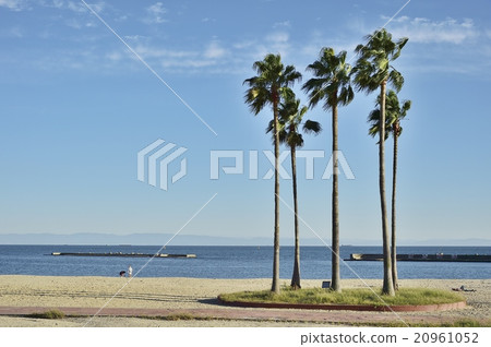 Suma coast 20961052