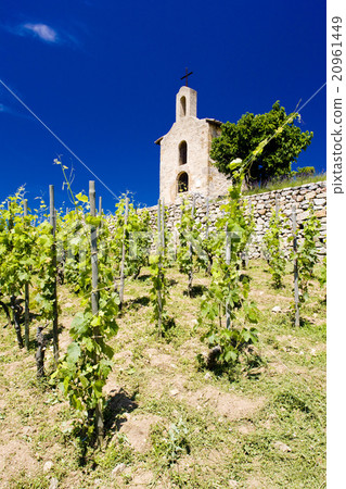 grand cru vineyard and Chapel of St. Christopher 20961449