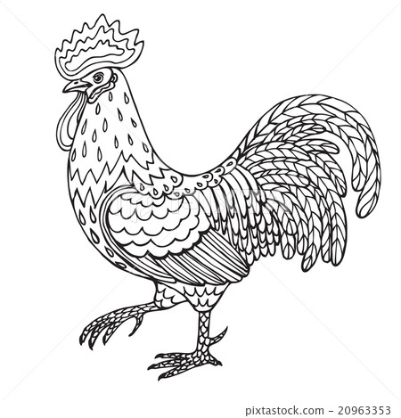 Hand drawn contoured rooster 20963353