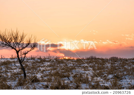 Nogi Cape in winter (Abashiri City) Nogi Cape in winter (Abashiri City) 20963726
