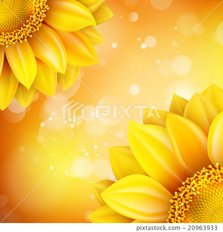 Macro SunFlower Background. EPS 10 20963933