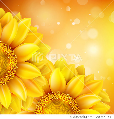 Macro SunFlower Background. EPS 10 20963934