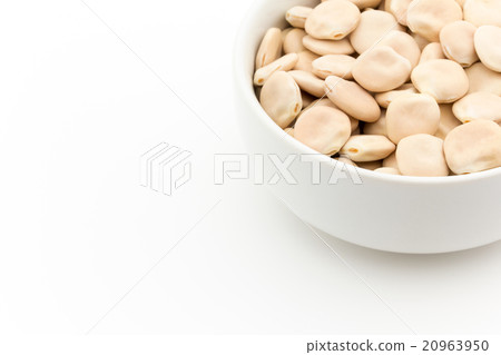 Uchiwama：Lupini豆 20963950