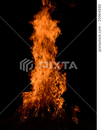 Fire flames on a black background Fire flames on a black background 20964880